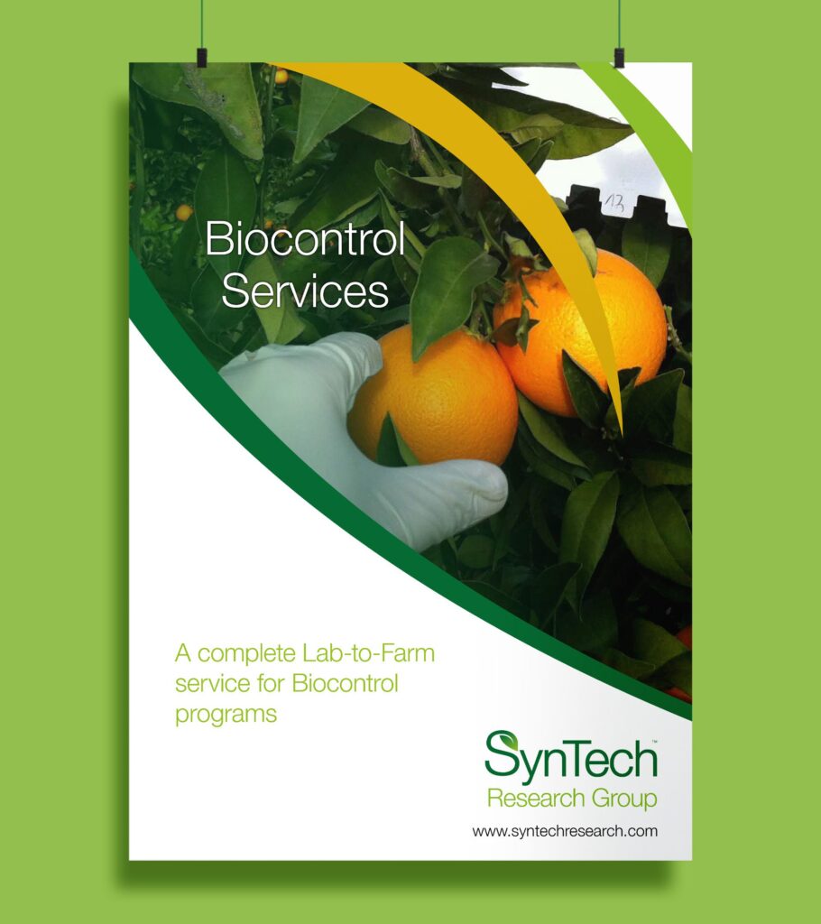 new-year-new-syntech