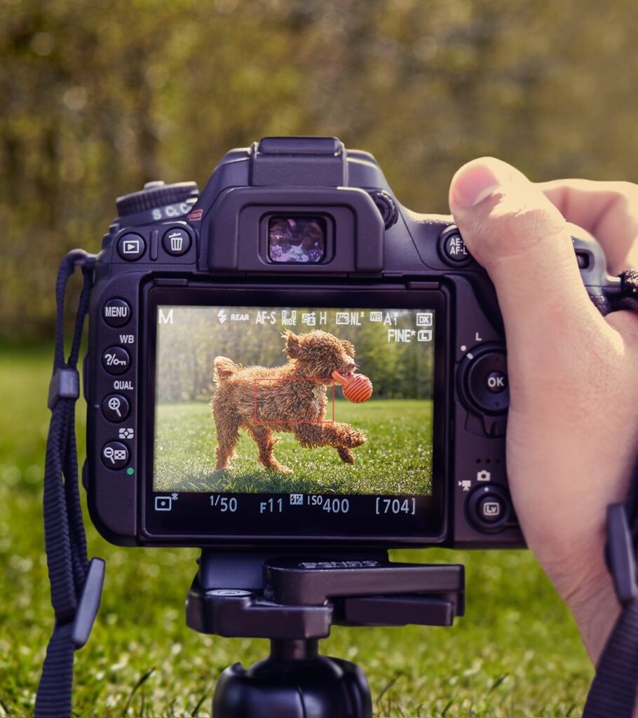 photography agency