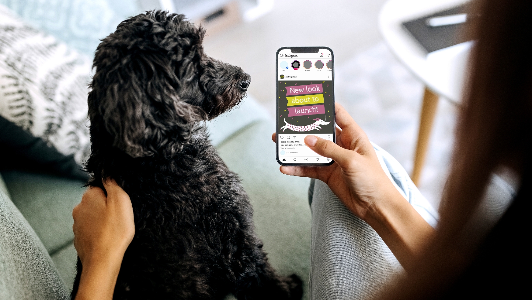 pets social media campaign