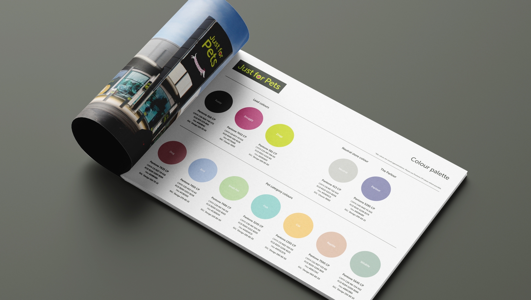 brand guidelines brochure